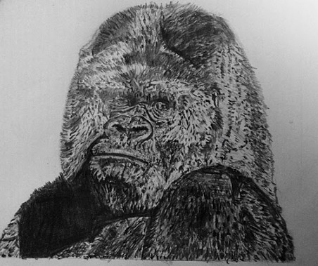 Drawing of a gorilla